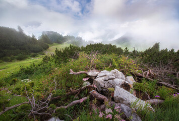 Panoramic view of the Hahnenkamm - Austrian Alps in Tirol