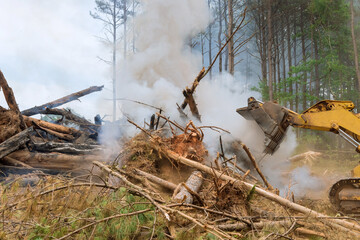 Preparation for building new houses, the uprooted forest for was burned in construction site