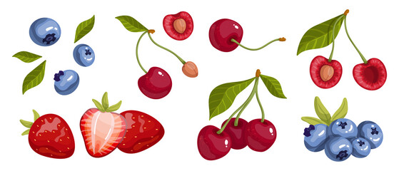 Set of summer ripe strawberries, blueberries, cherries.Cartoon vector graphics.