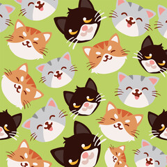 Obraz premium cats cute faces