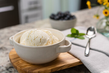 Bowl of Vanilla Ice Cream