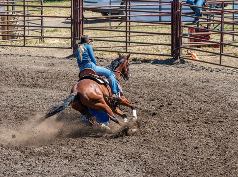 A rodeo cowgirl in a blue shirt is riding a brown horse in a barrel racing competition. They are going around the barrel on the right side.  The horse is kicking up a lot of dirt.