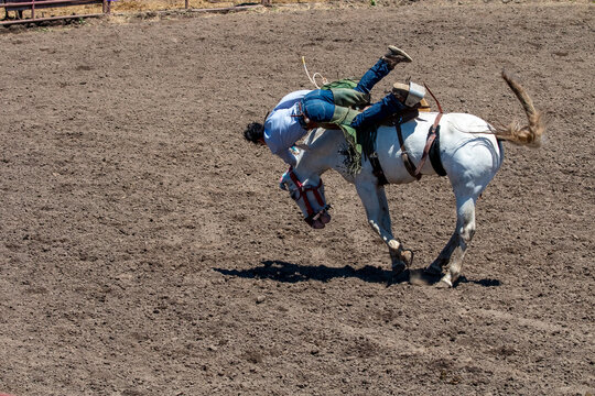 A rodeo cowboy is try to ride a white bucking bronco but is tossed over the head of the horse. The arena is dirt.
