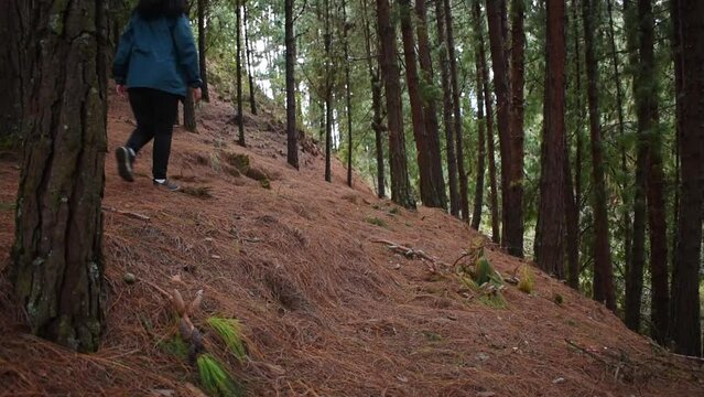 Young woman walking on Bogota mountain path through a forest