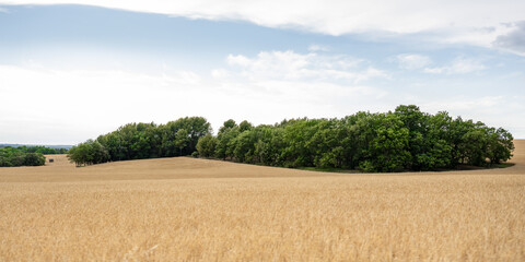 Provence: On the Road (2022-06) © Thomas