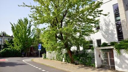 District of peaceful enclave and a mixture of small architectural wonders. Functionality,...