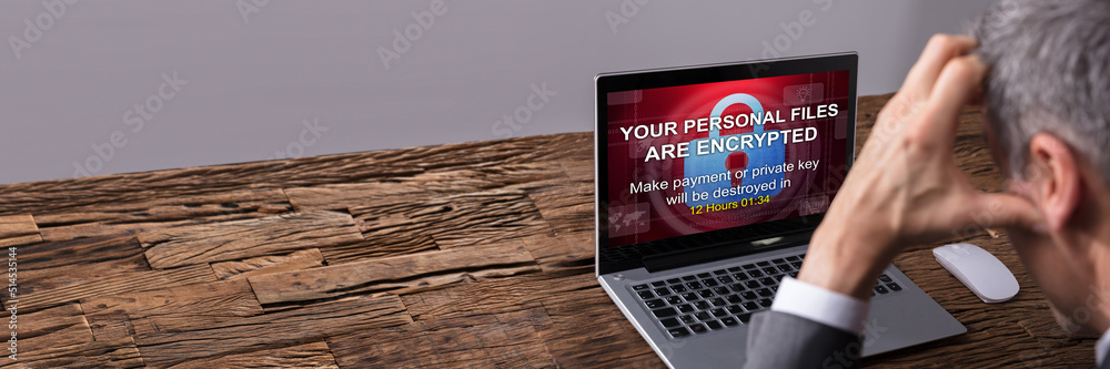 Poster Looking At Laptop Screen Showing Personal Files Encrypted Text