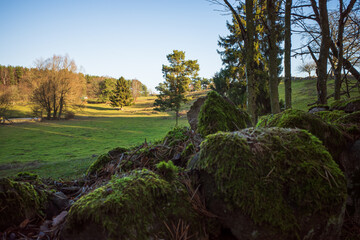 Stones with moss and a meadow in Brösarps backar in Skåne, Sweden, formed during the latest ice-age.