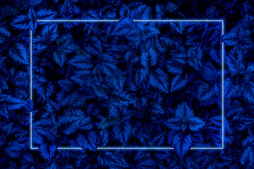 Marco neon sobre hojas