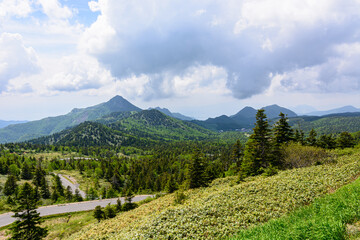 初夏の山