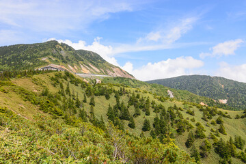 初夏の山