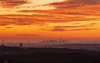 相模原市城山湖籠龍山展望台から東京の夜明け