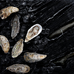 oysters with ice on a black marble table