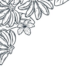 Bananas frame. Summer tropical fruits outline design element