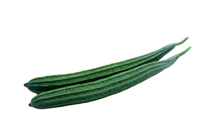 Fresh  green loofah  zucchini fruit isolated on white background. Concept : organic vegetable. Agriculture crops that can be cooked in various menu. Food ingredient. 