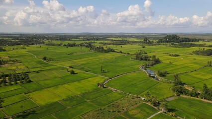 The Limestone Keteri Hill and The Surrounding Rice Paddy Fields