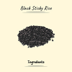 Black Sticky Rice Illustration Sketch And Vector Style. Good to use for restaurant menu, Food recipe book and food ingredients content.
