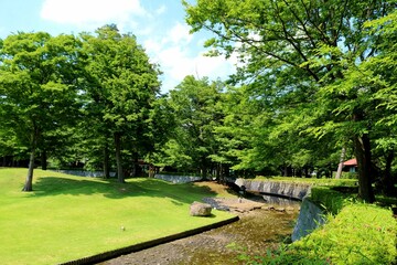 爽やかな青空と新緑　気持ち良い穏やかな風景　ネーブルパーク