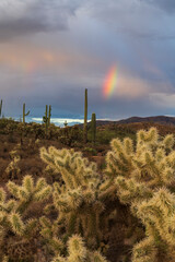 Naklejka na ściany i meble Photograph of a partial rainbow in the Sonoran Desert in Arizona. 