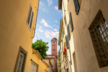 Fototapeta na wymiar A colorful narrow street inside the walled medieval city of Lucca, Italy, with the Guinigi Tower with the garden on top in view in the distance.