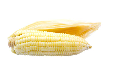 Peeled Streamed corn isolated on white background. Thai native corn that was cooked by steaming or...
