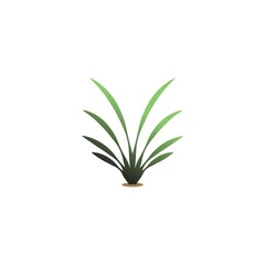 Obraz na płótnie Canvas ornamental plant element icon vector design illustration