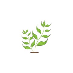 ornamental plant element icon vector design illustration