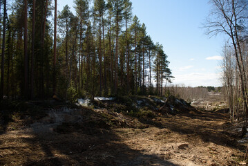 The site of deforestation for the gas pipeline