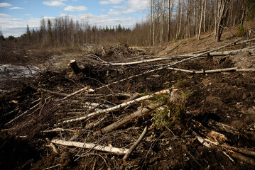 The site of deforestation for the gas pipeline