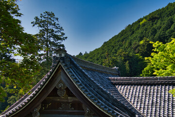 A roof-top of Yoshimine-dera temple and the trees.   Kyoto Japan 
