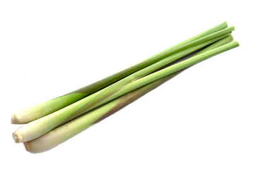 Fresh organic lemongrass isolated on white background. Concept : Thai herb ingredient vegetable for cooking food or beverage. Agriculture crops. Easy to grow.