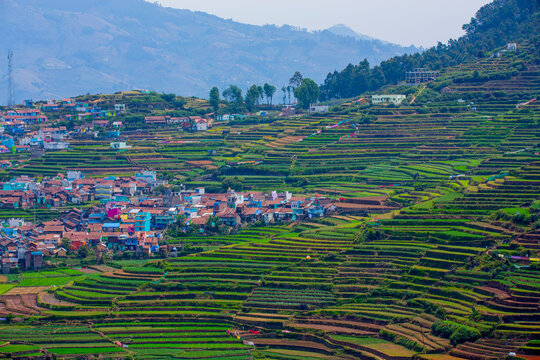 teras farming in india asia
