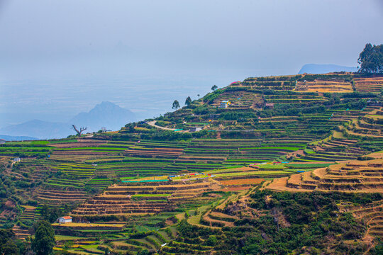 teras farming in india asia