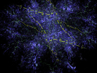 Imaginatory fractal abstract background Image