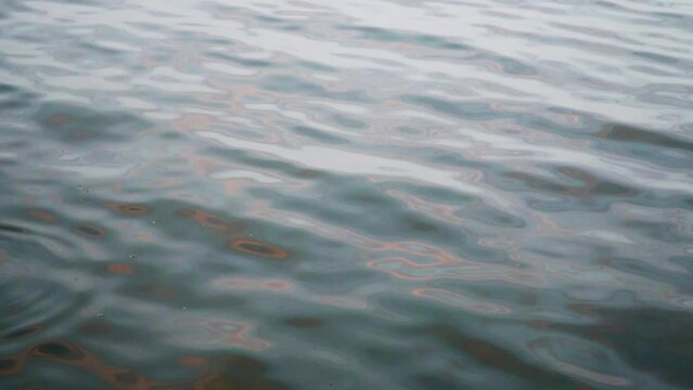 Gentle ripples on a lake water surface during a light breeze. Surface of real water on a lake. Water backgound.