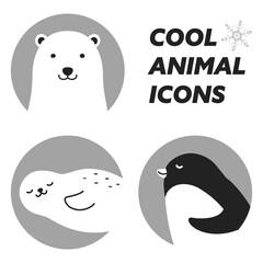 クールな動物のアイコンセット（しろくま・アザラシ・ペンギン）