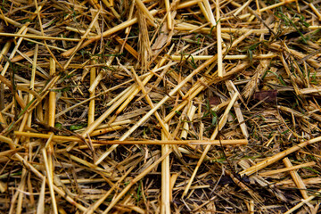 close up texture of hay