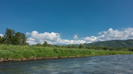 On the bank of the blue river there is lush vegetation: grass, wildflowers, trees. Cumulus clouds in the azure sky. Copy space. Kamchatka. River Bystraya