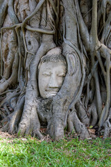 Fototapeta na wymiar A Buddha head entwined within the roots of a tree in Wat Mahathat (Temple of the Great Relic), a Buddhist temple in Ayutthaya Thailand. The history of this temple starts in 1374. 