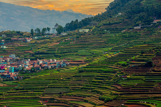 teras farming in india asia