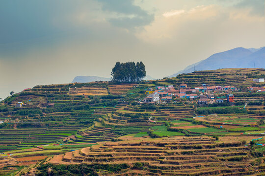 teras farming in india asia