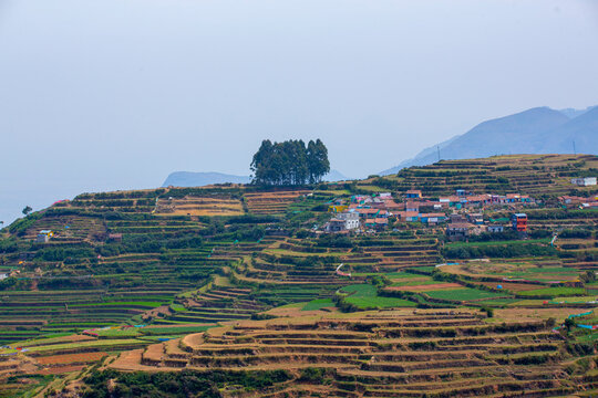 teras farming in india asia