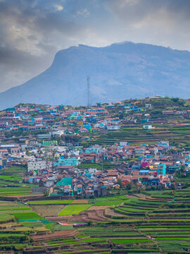 teras farming in india asia