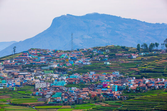 teras farming in india asia