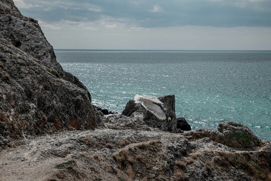 rocks on the beach