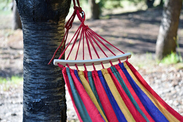 colored hammock