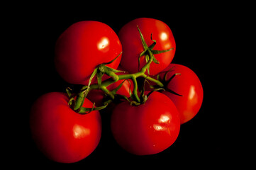 branch with red tomatoes on a black background, horizontal shot.