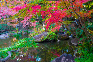 Japanese garden in Hiratsuka, Kanagawa, Japan