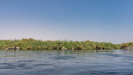 On the bank of a calm blue river there are dense thickets of green vegetation. Clear azure sky. Egypt. Nile