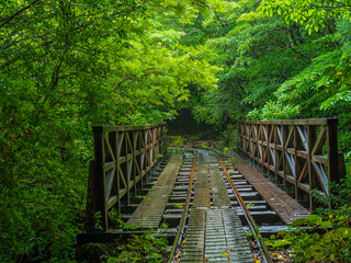 Obraz premium トロッコ道_02